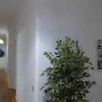 Rent 6 bedroom apartment in Lisbon