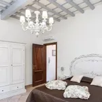 Rent 1 bedroom apartment in Florence