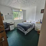 Rent 5 bedroom house in Norwich