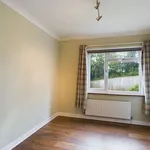 Rent 4 bedroom apartment in South West England