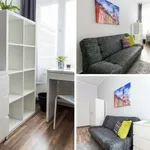 Rent a room in poznan