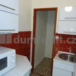 Rent 1 bedroom apartment in Praha 6