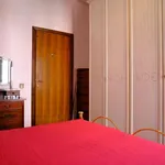 Rent 1 bedroom apartment in Rome