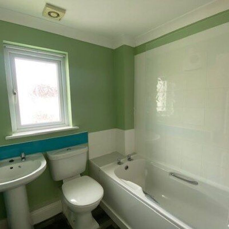 Semi-detached house to rent in Springfields, St. Austell PL26 Stenalees