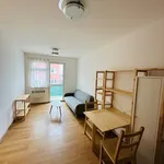 Rent 2 bedroom apartment in Brno