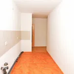 Rent 1 bedroom apartment of 44 m² in Chemnitz