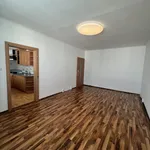 Rent 3 bedroom apartment in Plzeň