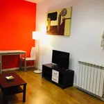 Alquilo 1 dormitorio apartamento de 484 m² en Zaragoza