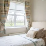 Rent a room in dublin