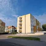 Rent 2 bedroom apartment of 48 m² in Toruń