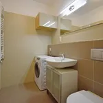 Rent 1 bedroom apartment of 30 m² in Capital City of Prague