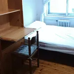 Rent 6 bedroom apartment in León