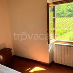 Rent 3 bedroom apartment of 74 m² in Greve in Chianti