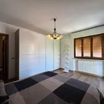 Rent 5 bedroom house of 60 m² in Seravezza