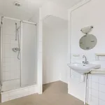 Rent 3 bedroom apartment of 80 m² in Utrecht