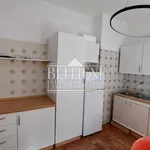 Rent 4 bedroom apartment of 160 m² in Vicenza