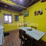 Rent 3 bedroom apartment of 80 m² in Capannori