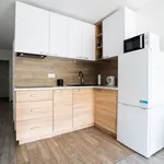 Rent 2 bedroom apartment of 35 m² in Lublin