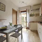 Rent 1 bedroom apartment of 45 m² in bologna