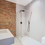 Rent 1 bedroom apartment of 70 m² in Antwerp