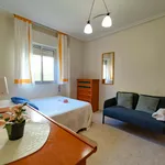 Rent a room of 100 m² in Sevilla