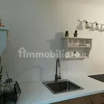 Rent 3 bedroom apartment of 55 m² in Pisa