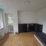 Rent 4 bedroom apartment of 96 m² in Brno