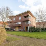 Rent 2 bedroom apartment of 106 m² in Hilversum