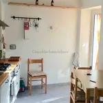 Rent 1 bedroom apartment of 20 m² in Rome