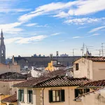 Rent 2 bedroom apartment of 50 m² in Florence