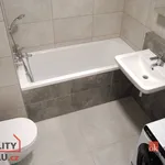 Pronajměte si 1 ložnic/e byt o rozloze 39 m² v Pilsen