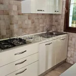 Rent 3 bedroom apartment of 90 m² in Padova