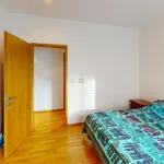 Rent 3 bedroom apartment in Praha 2