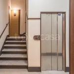 Rent 2 bedroom apartment of 50 m² in Torino