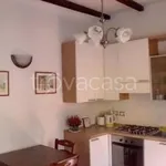 Rent 1 bedroom apartment of 48 m² in Bologna