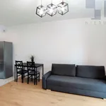 Rent 1 bedroom apartment of 31 m² in Polesie