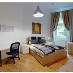 Rent 1 bedroom apartment of 42 m² in berlin