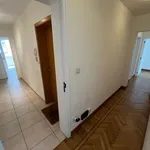 Rent 3 bedroom apartment in Namur