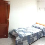 Rent a room in cordoba