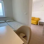 Studio o rozloze 20 m² v prague