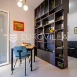 Rent 1 bedroom apartment of 40 m² in Split