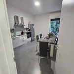 Rent 3 bedroom apartment of 90 m² in Bologna