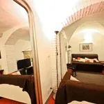 Rent 1 bedroom apartment of 50 m² in Florence