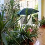 Rent 4 bedroom apartment of 120 m² in Soverato