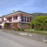 Rent 11 bedroom house of 210 m² in Borgo a Mozzano