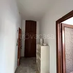 Rent 4 bedroom apartment of 90 m² in Bologna