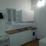 Rent 1 bedroom apartment of 33 m² in Turin