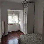 Rent 1 bedroom apartment in Lisbon