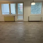 Rent 1 bedroom apartment of 40 m² in Jihlava