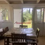 Rent 1 bedroom house of 45 m² in Campofelice di Roccella